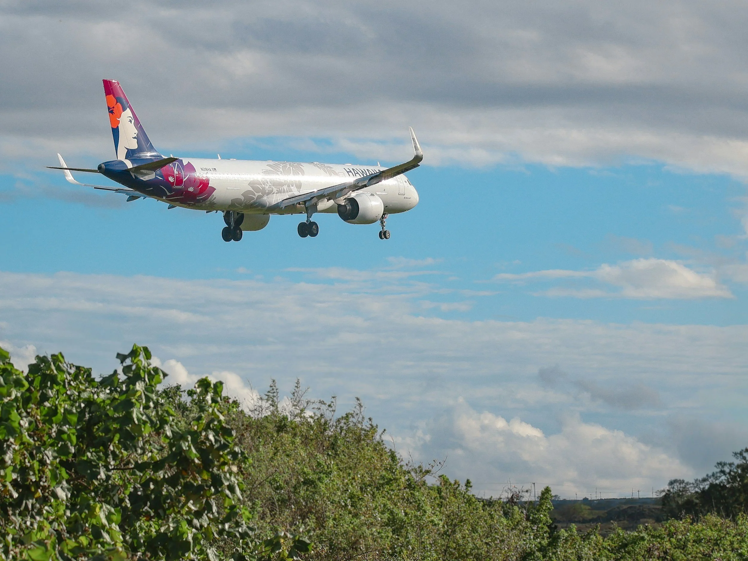 Hawaii on the Fast Track to Electric Flights: A New Era of Cleaner Skies