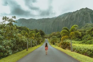 unsplash image wTgk34xyTgg