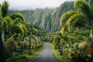 unsplash image TRAYV5rsA9Y