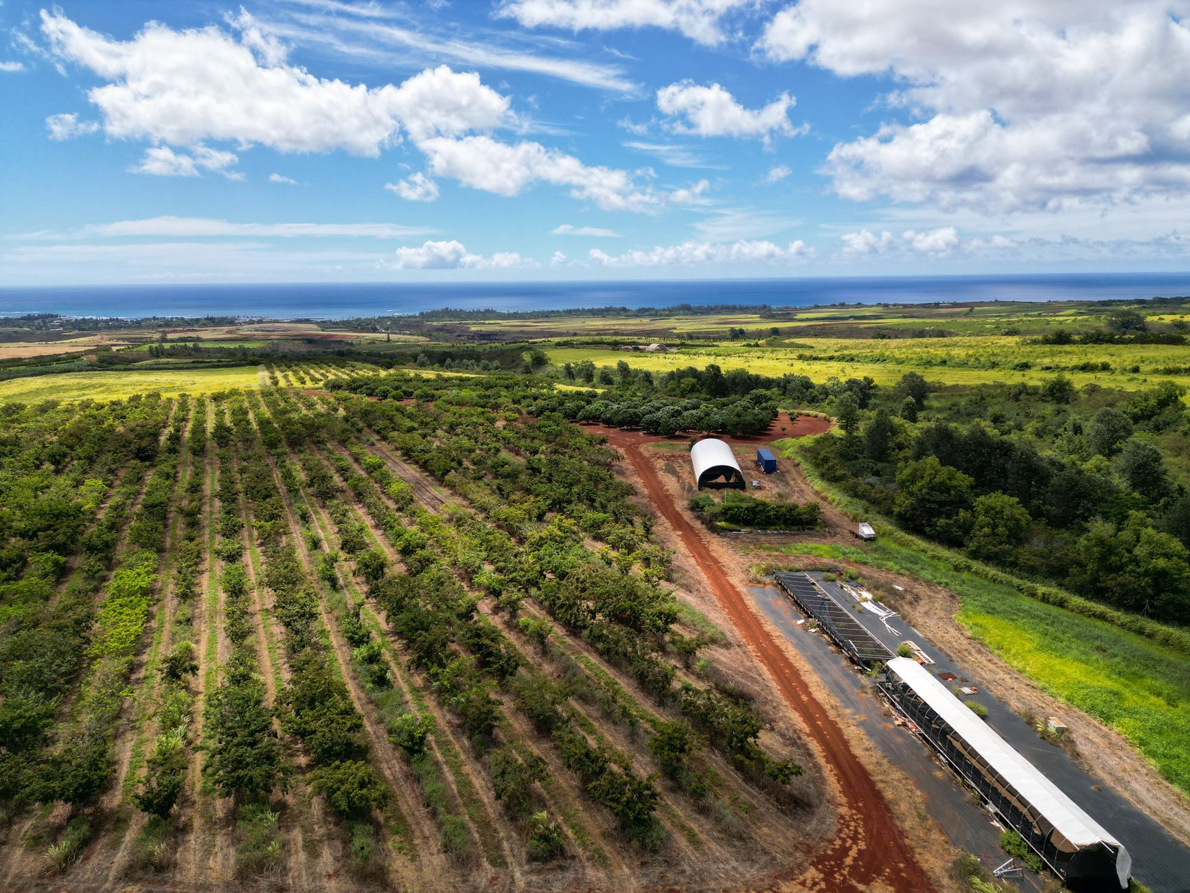 Hawaii Agricultural Tax Assessment: Keeping Coffee Farm Carrying Costs Low