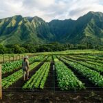 ai_featured_Hawaii_Agricultural_Zoning_Lease_Rules_f_1790983960030720338